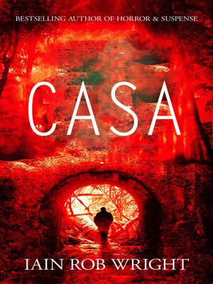 cover image of La casa bajo el puente